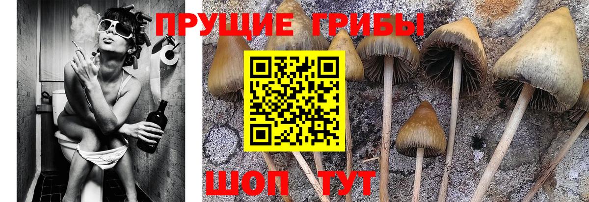Галлюциногенные грибы мицелий  цена   Калач-на-Дону  Вход с VPN  Псилоцибиновые грибы Magic Shrooms 