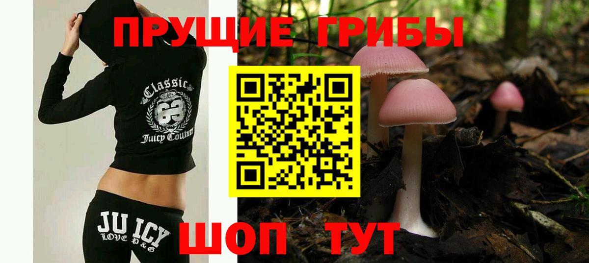 Галлюциногенные грибы MAGIC MUSHROOMS Калач-на-Дону